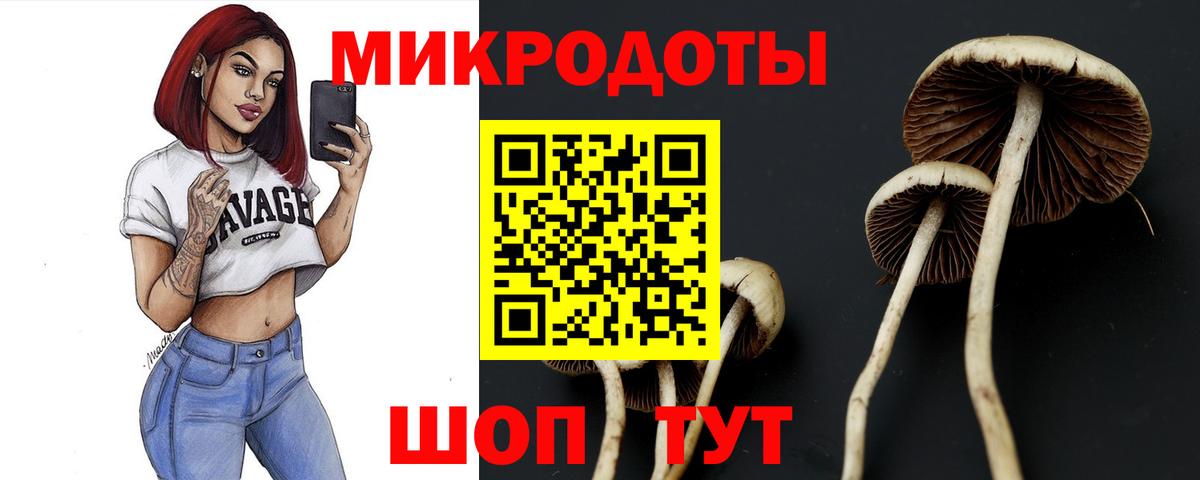 купить закладку  Псилоцибиновые грибы Psilocybine cubensis  Вход с VPN  Чернушка  Галлюциногенные грибы Magic Shrooms 