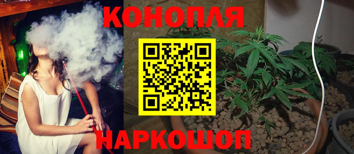 Каннабис AK-47 Чернушка